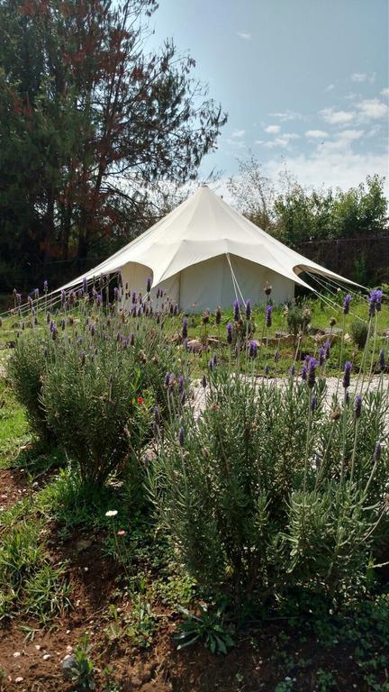 Hôtel Acatitlan Glamping à Valle de Bravo Extérieur photo